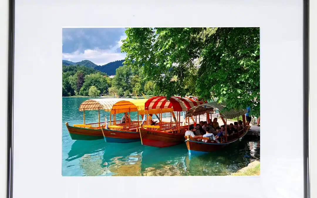 The Inspired Collection – Photography Exhibition